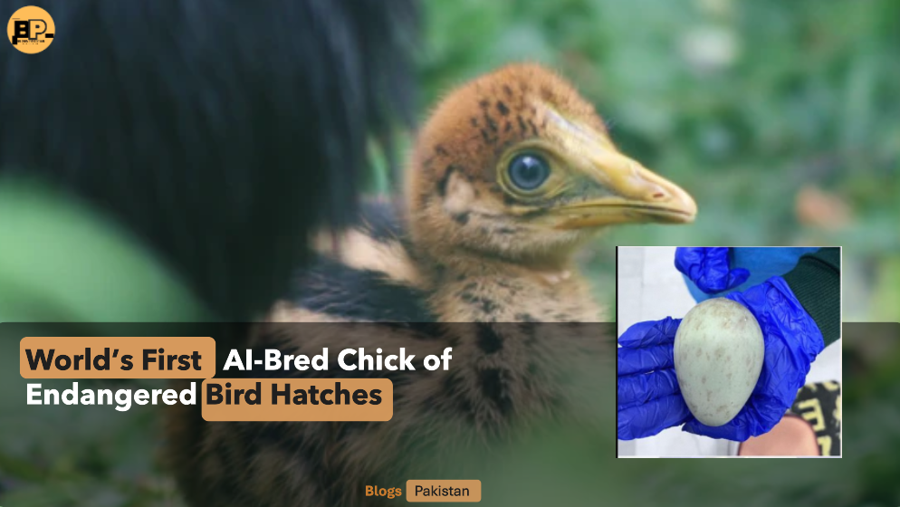 A New Dawn for Conservation: World’s First AI-Bred Chick of Endangered Bird Hatches